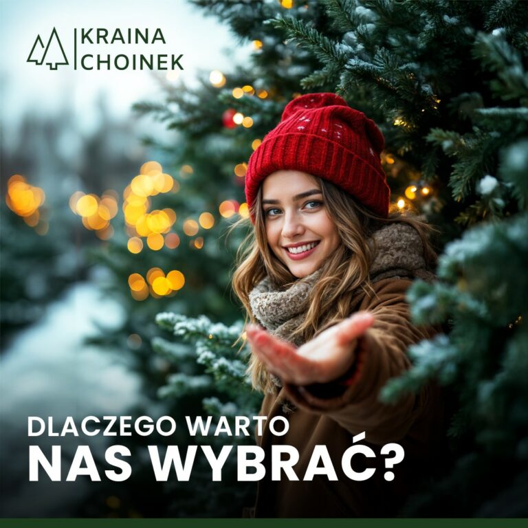 dlaczego wybrac kraine choinek